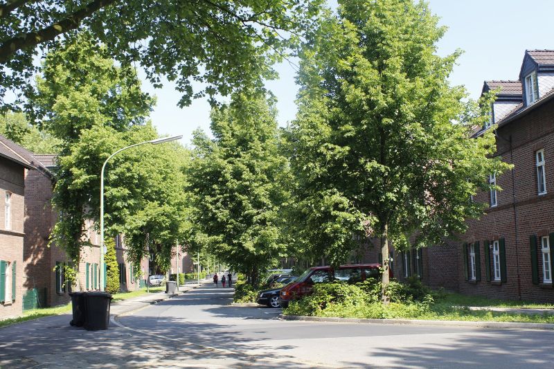 grüne Sackgasse, direkt am Nordsternpark