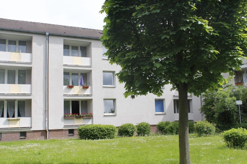für Senioren perfekt - EG mit Dusche und nur wenige Stufen - Photo 3